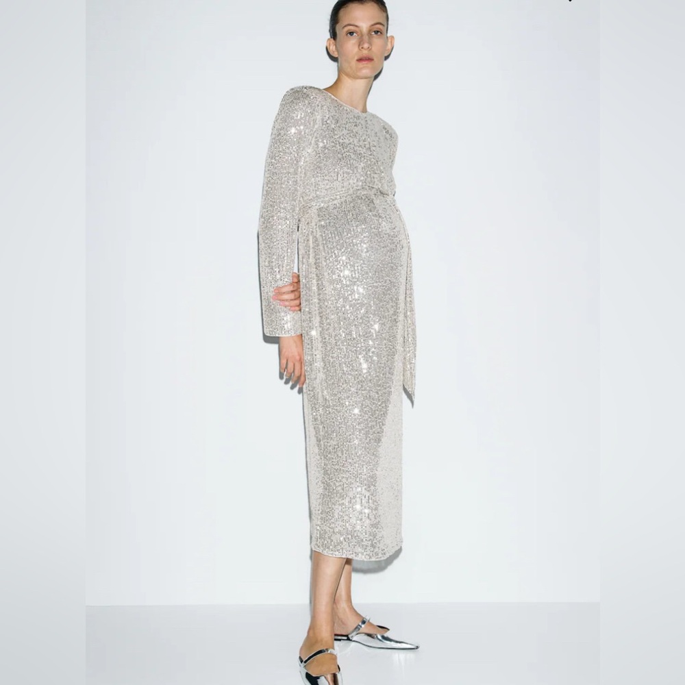 H&M Mama Sequined Belt Dress
